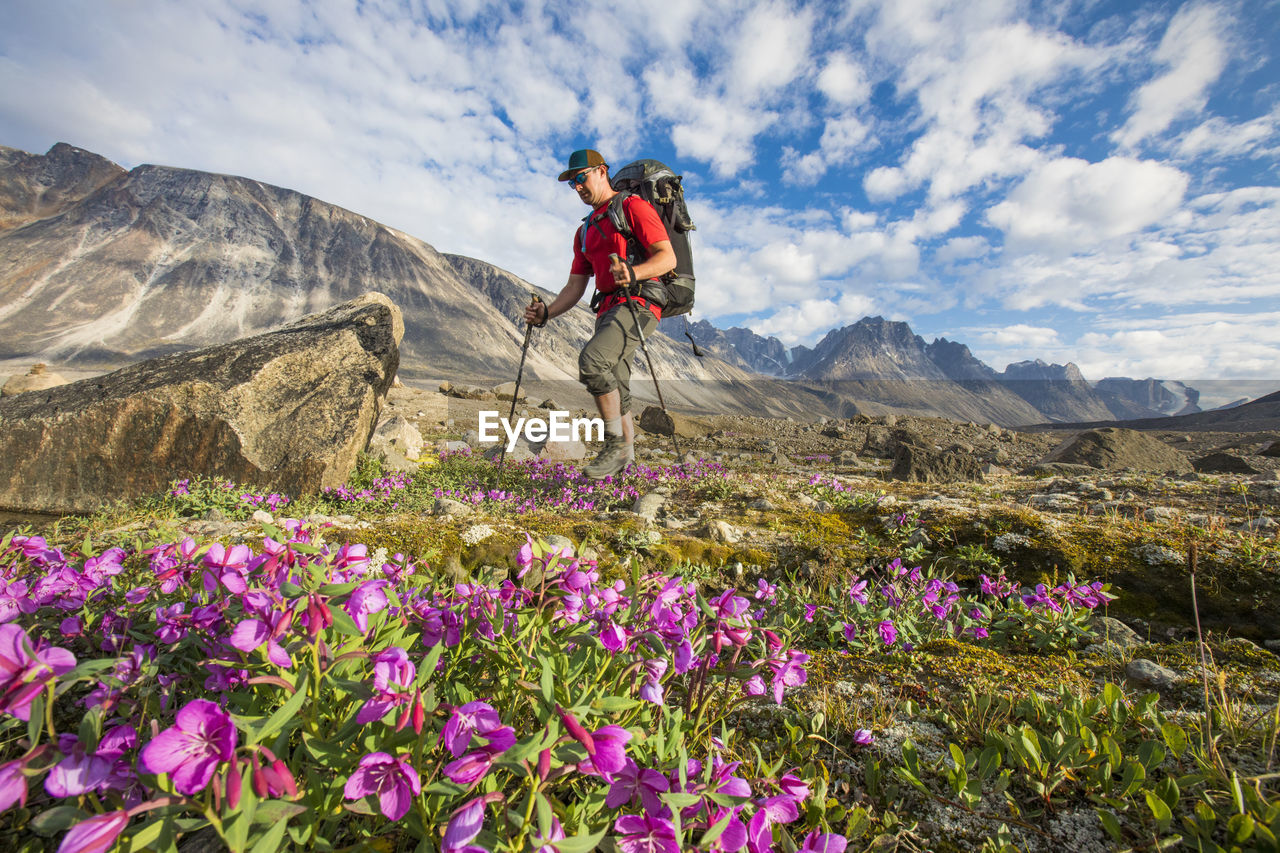 Low angle view of backpacker hiking through lush alpine meadow.