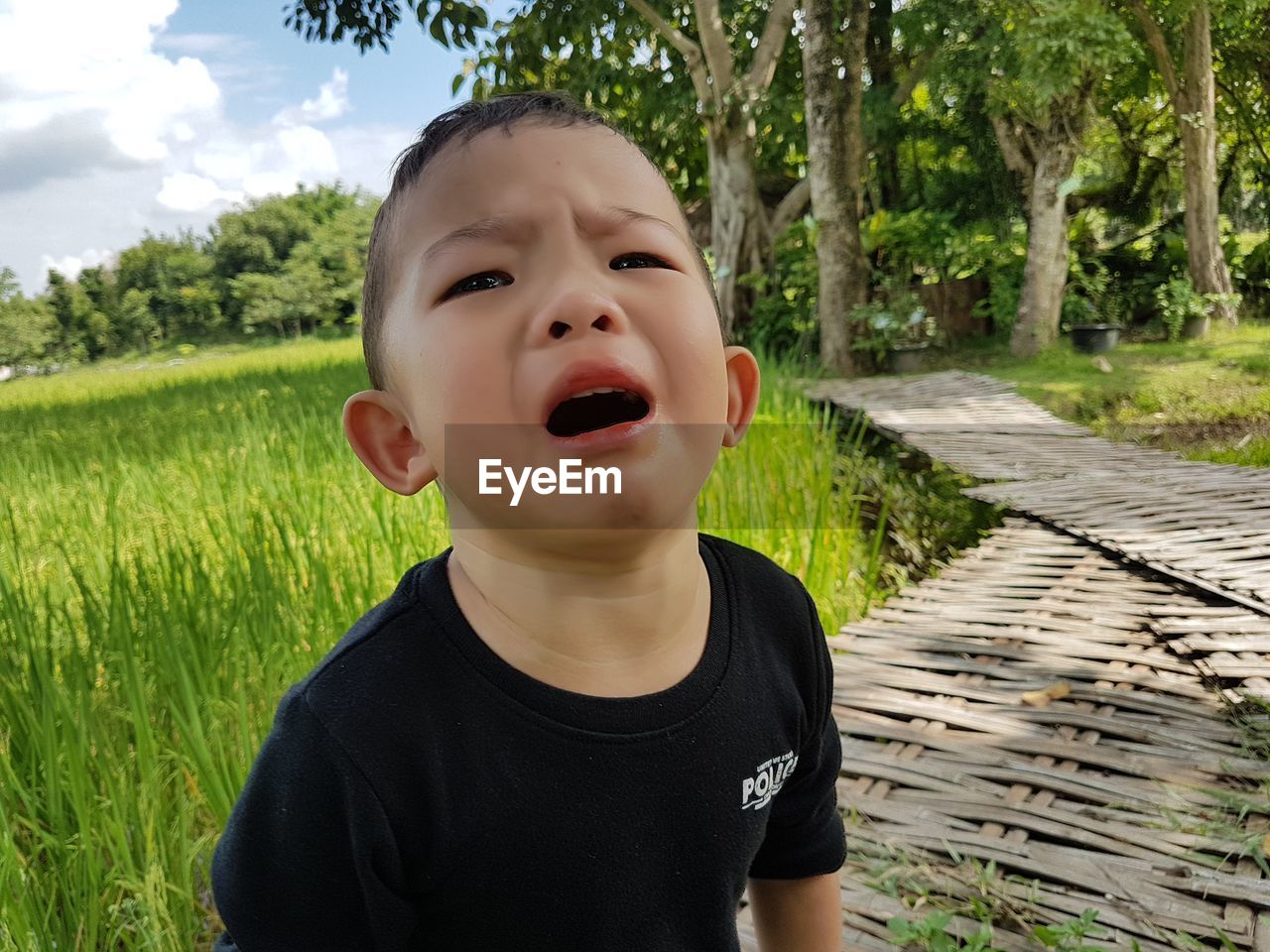 PORTRAIT OF BOY ON GREEN TREE AGAINST PLANTS