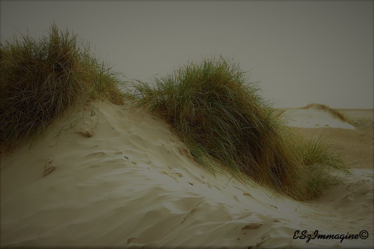 CLOSE-UP OF SAND DUNE IN DESERT