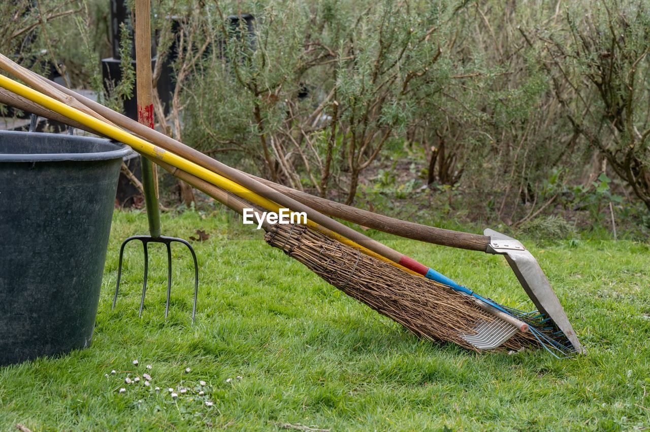 plant, grass, nature, tree, hammock, growth, green, day, no people, land, outdoors, field, gardening equipment, tranquility, lawn, absence, wood, park, seat