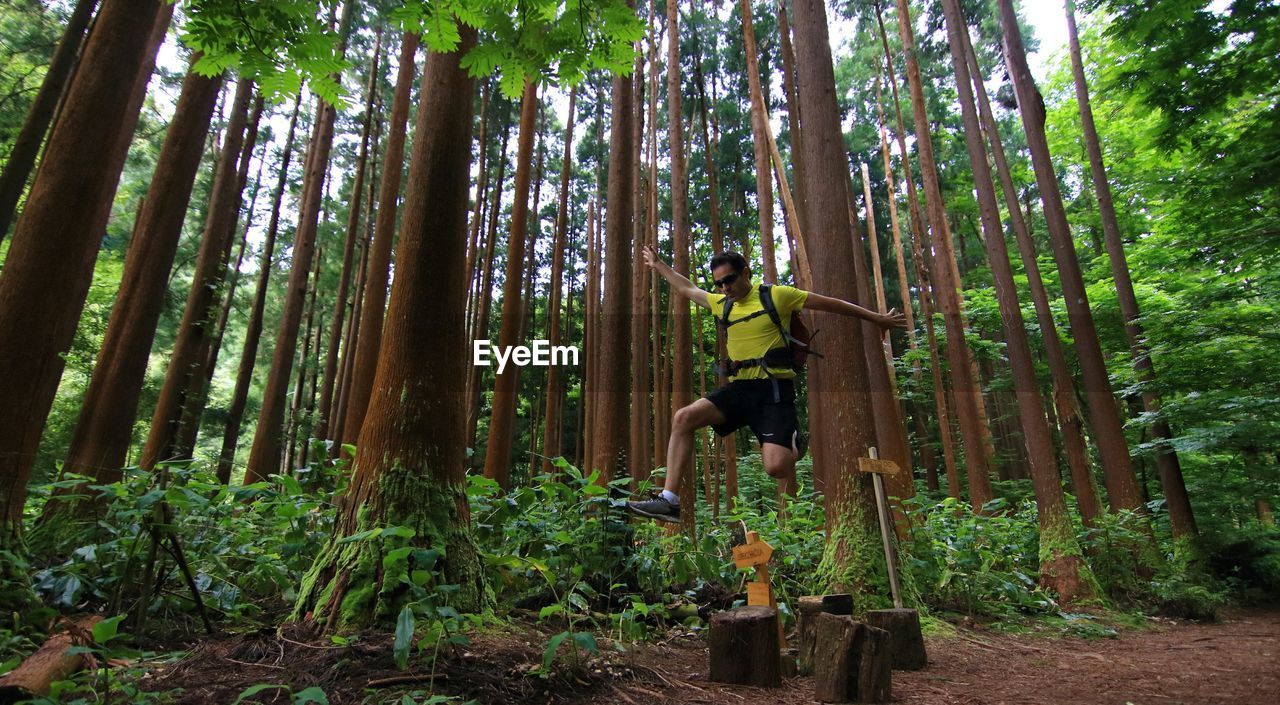 Man jumping by trees in forest