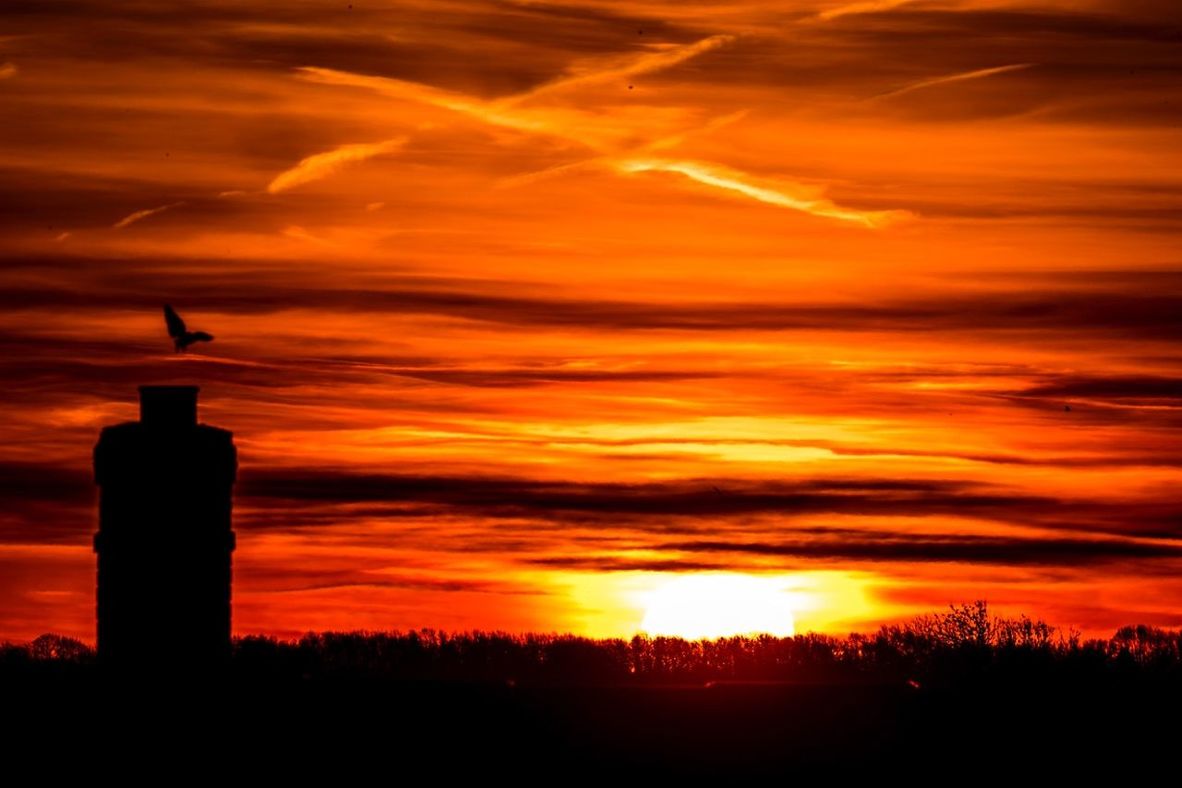 SILHOUETTE OF LANDSCAPE AT SUNSET