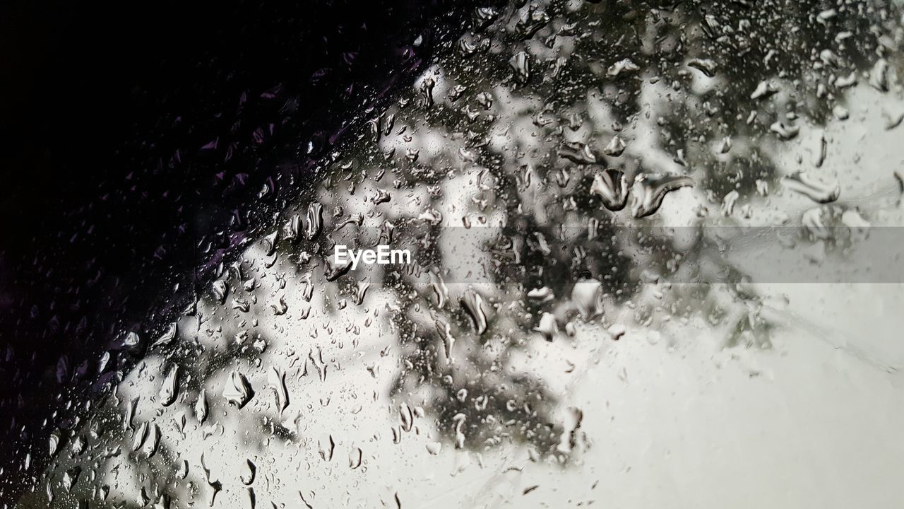 CLOSE-UP OF WATER DROPS ON WINDOW