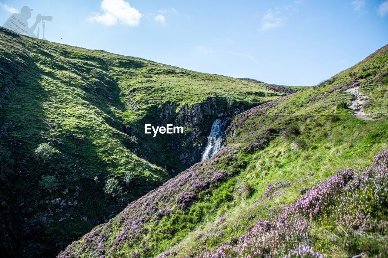 SCENIC VIEW OF WATERFALL