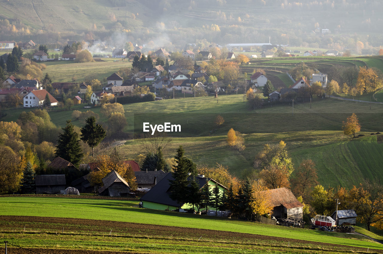 Scenic view of field and houses against trees