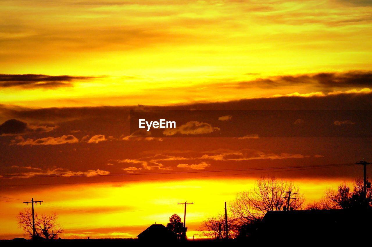 SILHOUETTE OF TREES AT SUNSET