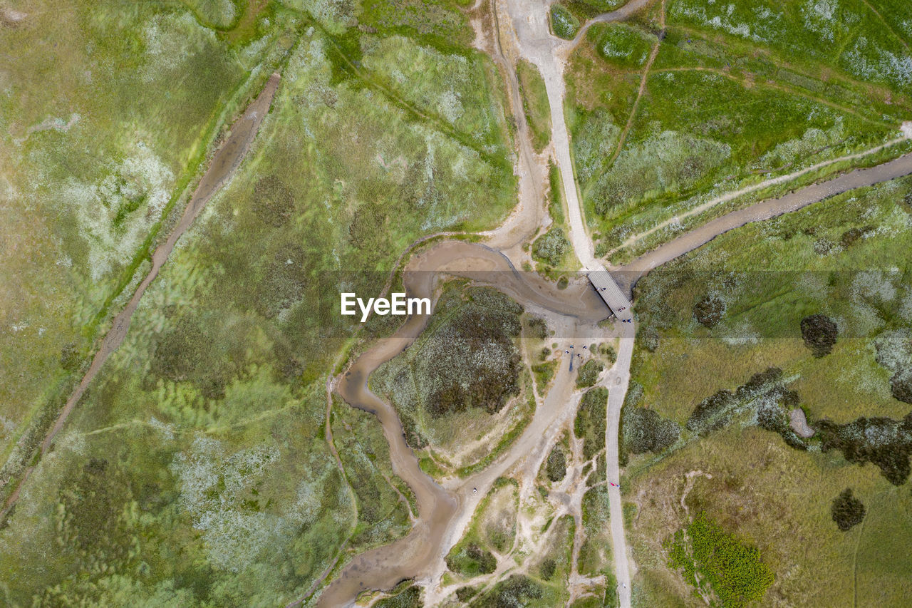 HIGH ANGLE VIEW OF A TURTLE ON LANDSCAPE