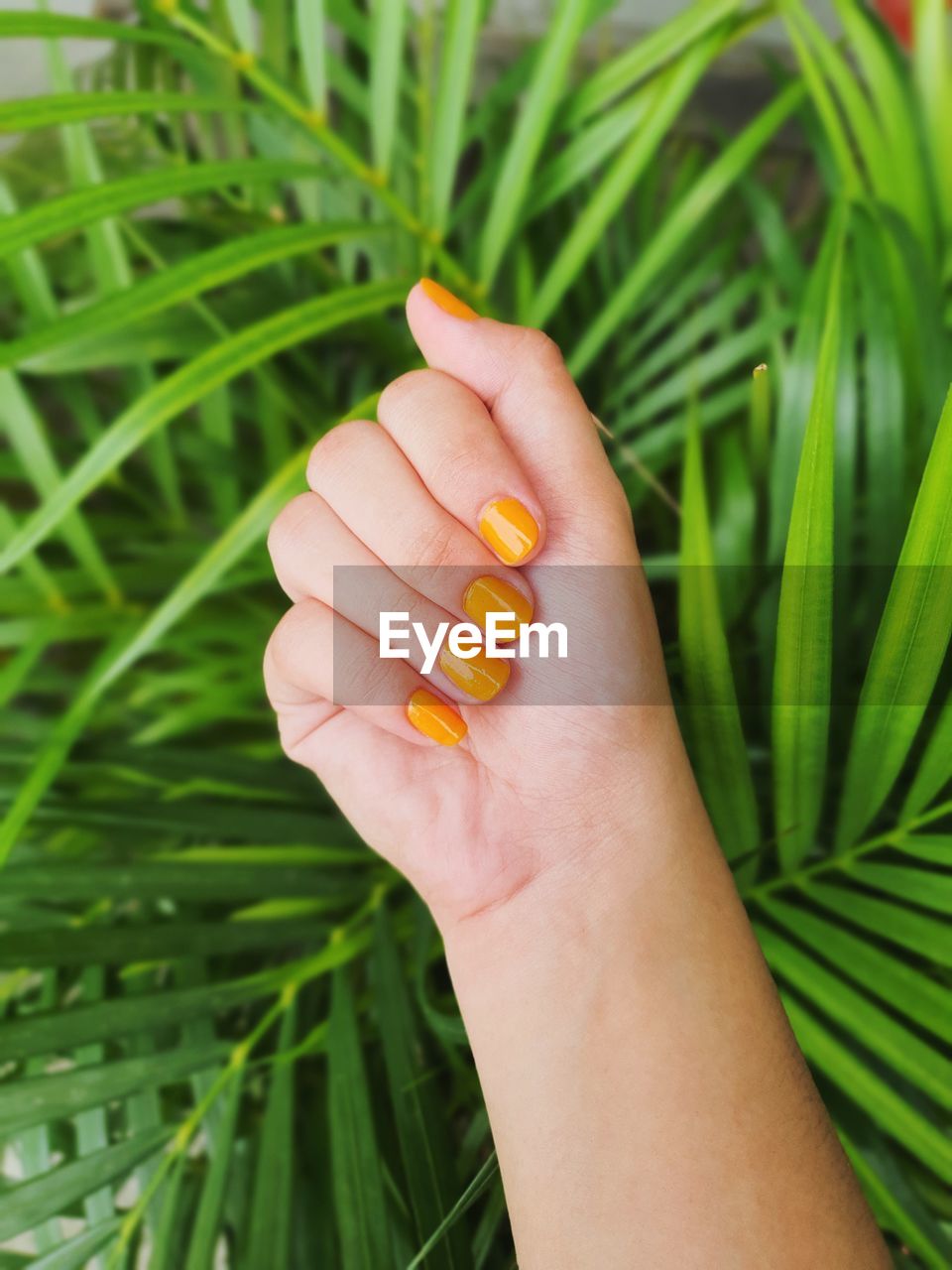 Close-up of young woman hand showing yellow nail paint