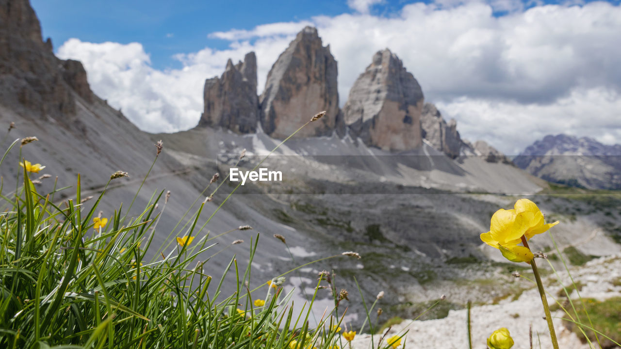 Scenic view of yellow and mountains against sky