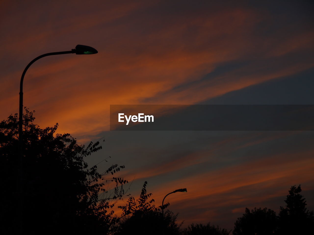 Low angle view of silhouette trees against orange sky