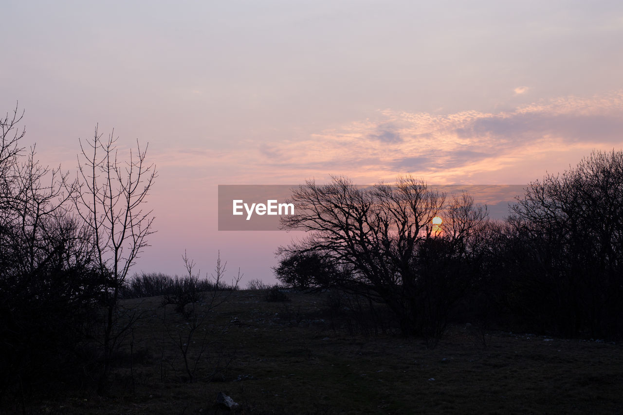 SILHOUETTE BARE TREES ON FIELD AGAINST SKY AT SUNSET