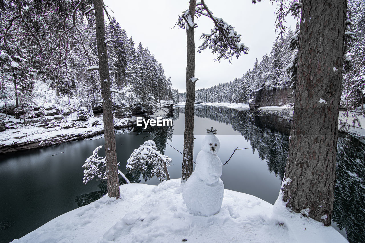 SNOW COVERED TREES BY LAKE