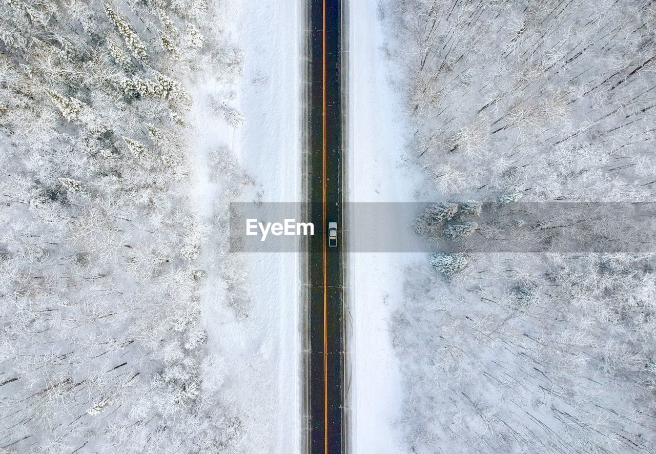 Truck in the middle of a winter forest