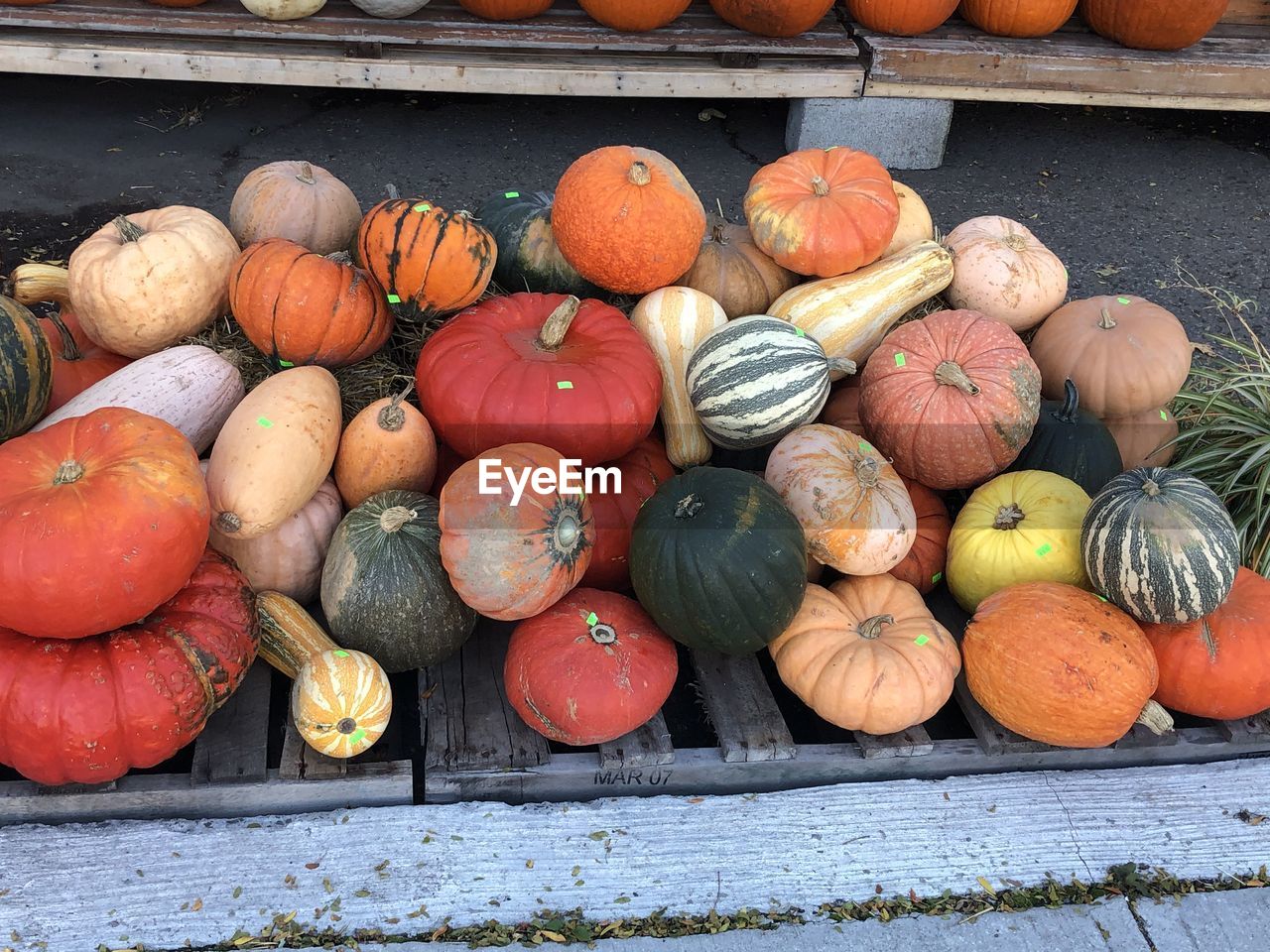 HIGH ANGLE VIEW OF PUMPKINS FOR SALE AT MARKET