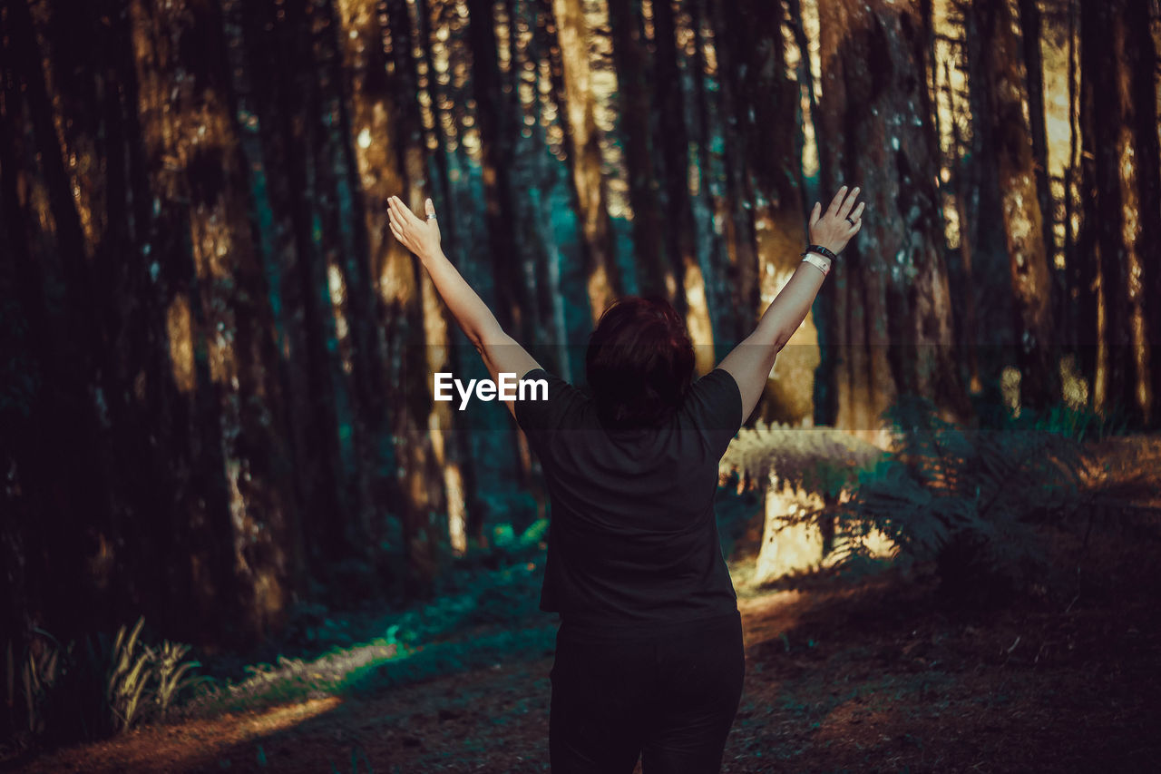 Rear view of woman with arms raised standing in forest