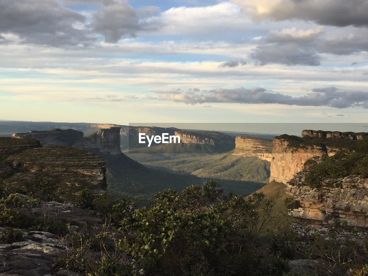 SCENIC VIEW OF LANDSCAPE