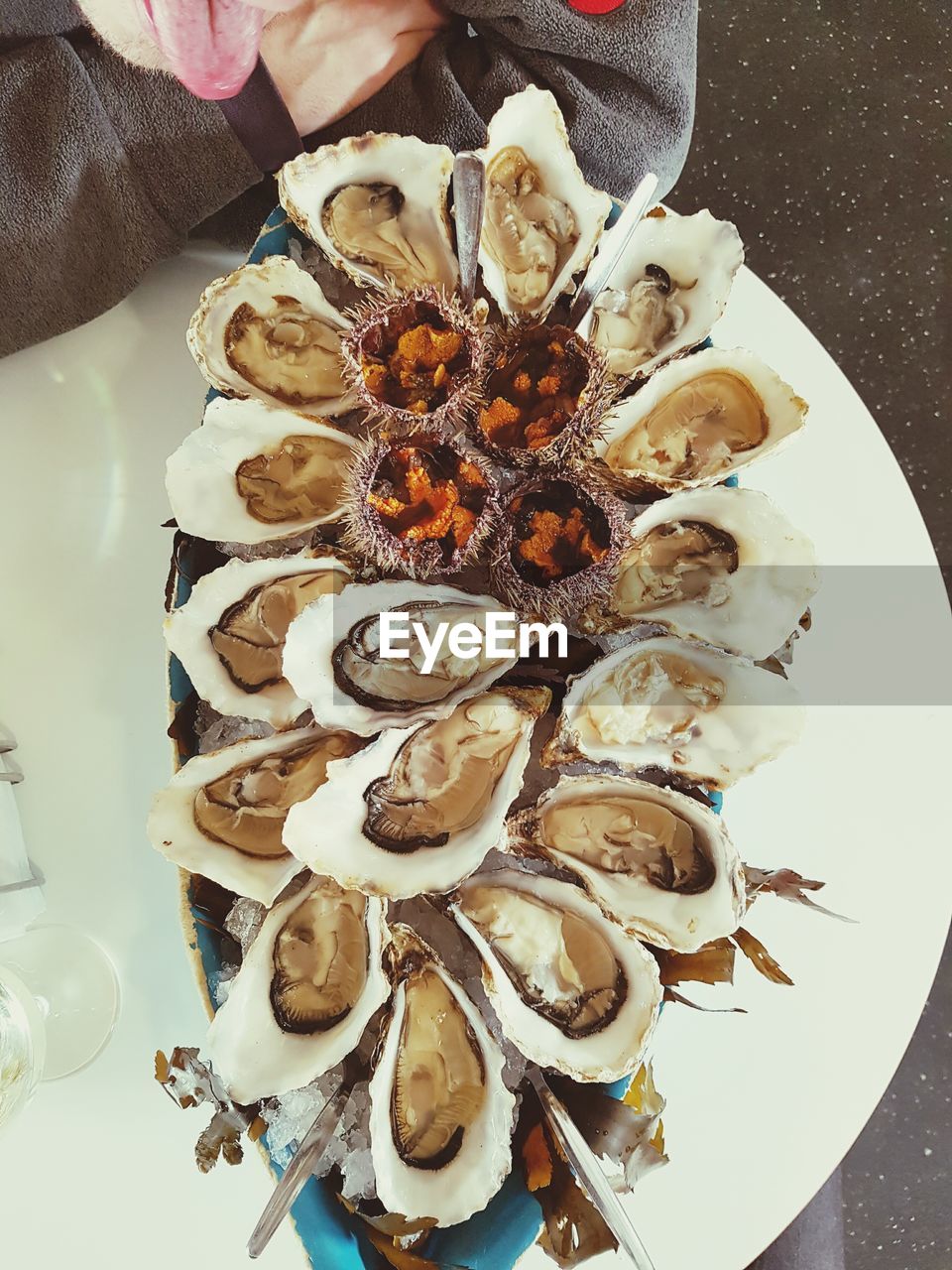 High angle view of oysters in plate on table