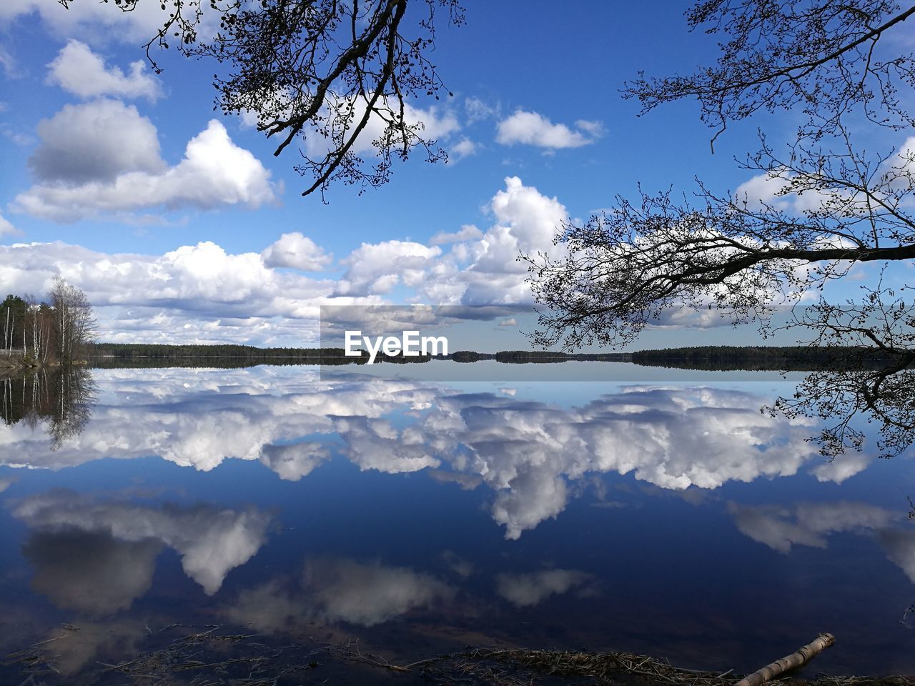 REFLECTION OF TREE IN LAKE AGAINST SKY