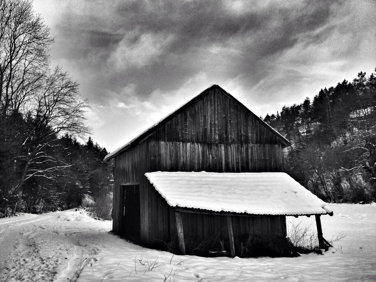 Old log cabin amidst trees on snow covered field against sky