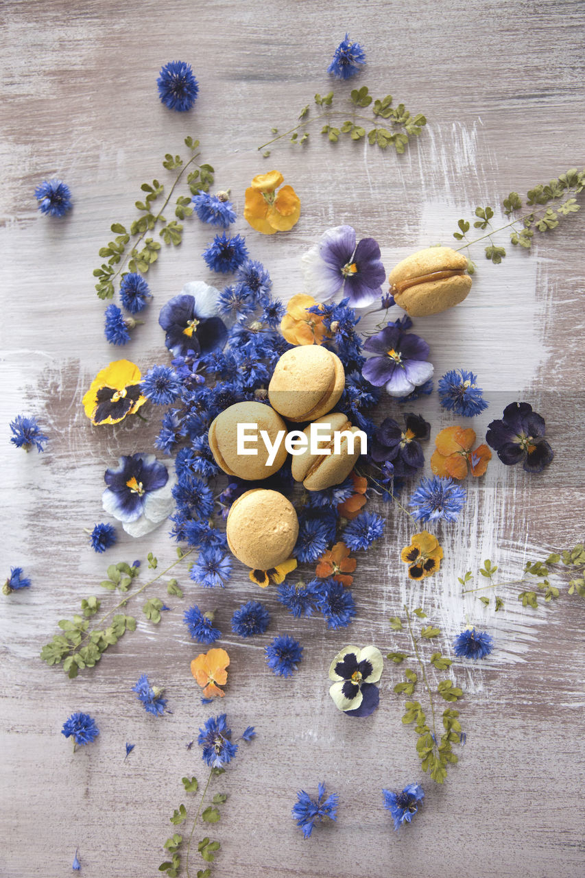 Directly above shot of macaroons and flowers on table