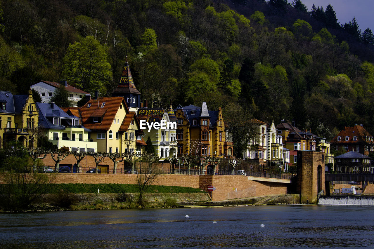 Houses by river and trees against sky