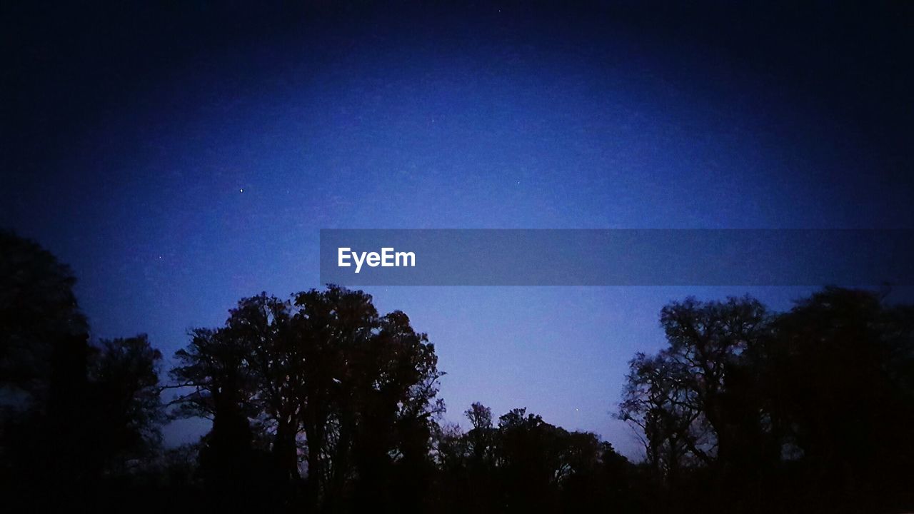 SILHOUETTE TREES AGAINST SKY AT NIGHT