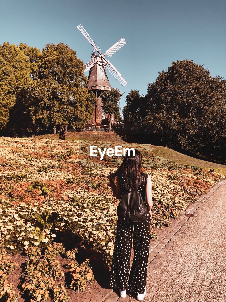 Rear view of woman standing on footpath against traditional windmill