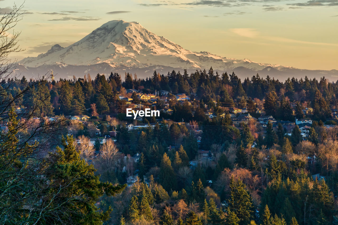 A view of clouds over mount rainier with trees in the foreground.
