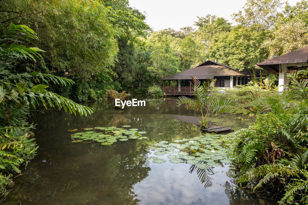 HOUSE BY LAKE AGAINST TREES