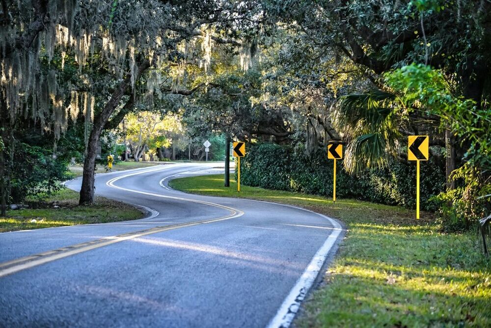 ROAD PASSING THROUGH TREES