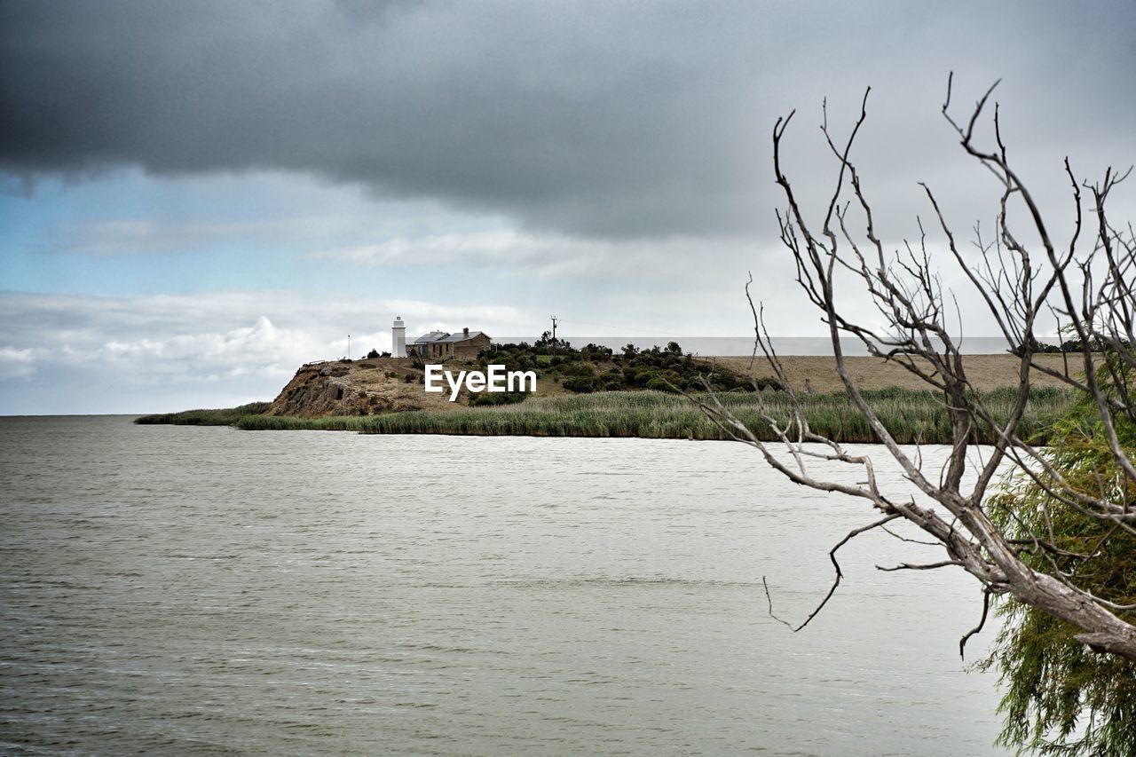 PLANTS GROWING ON LAND AGAINST SEA