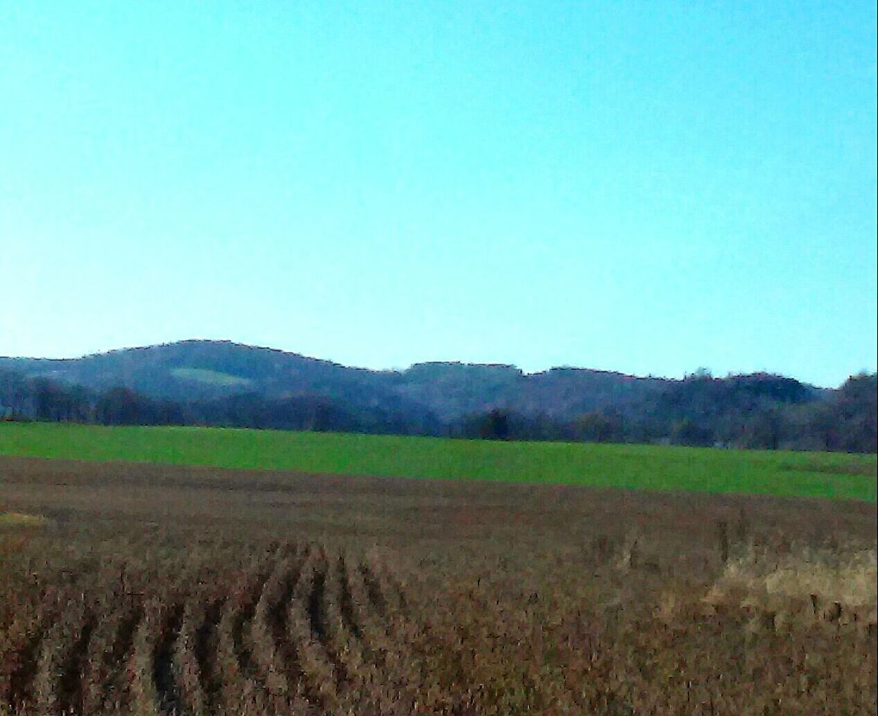 VIEW OF FIELD AGAINST CLEAR SKY