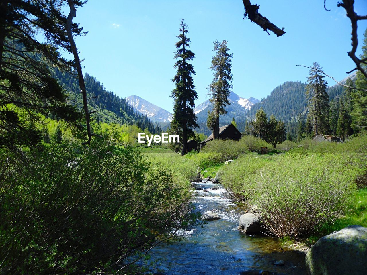 Stream amidst grassy landscape against sky