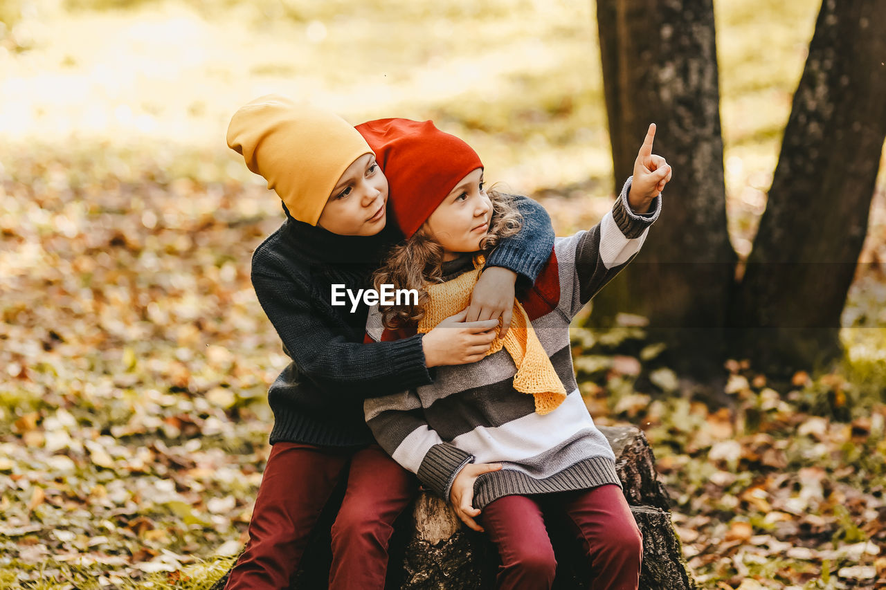 A little girl and a boy children brother and sister hug and sit on a tree stump in the autumn forest