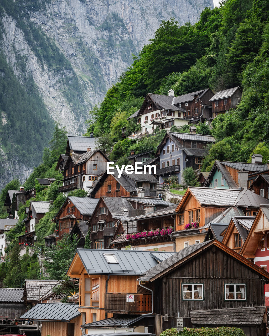 high angle view of trees and houses