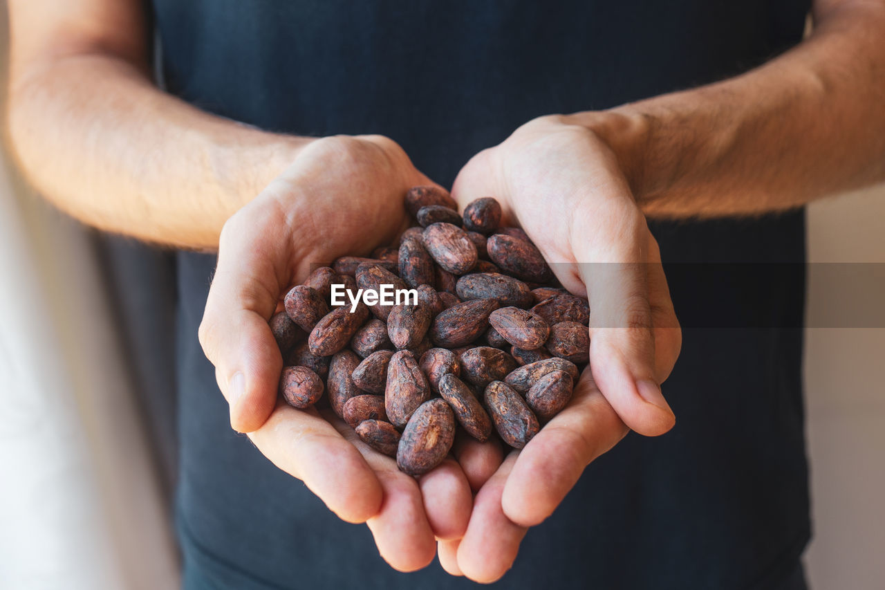 Farmer man hands hold roasted fragrant cocoa beans.  cocoa is an antioxidant, antidepressant,