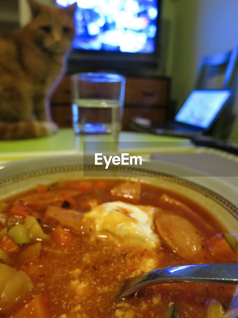 Bowl of vegetable soup and cat watching in background