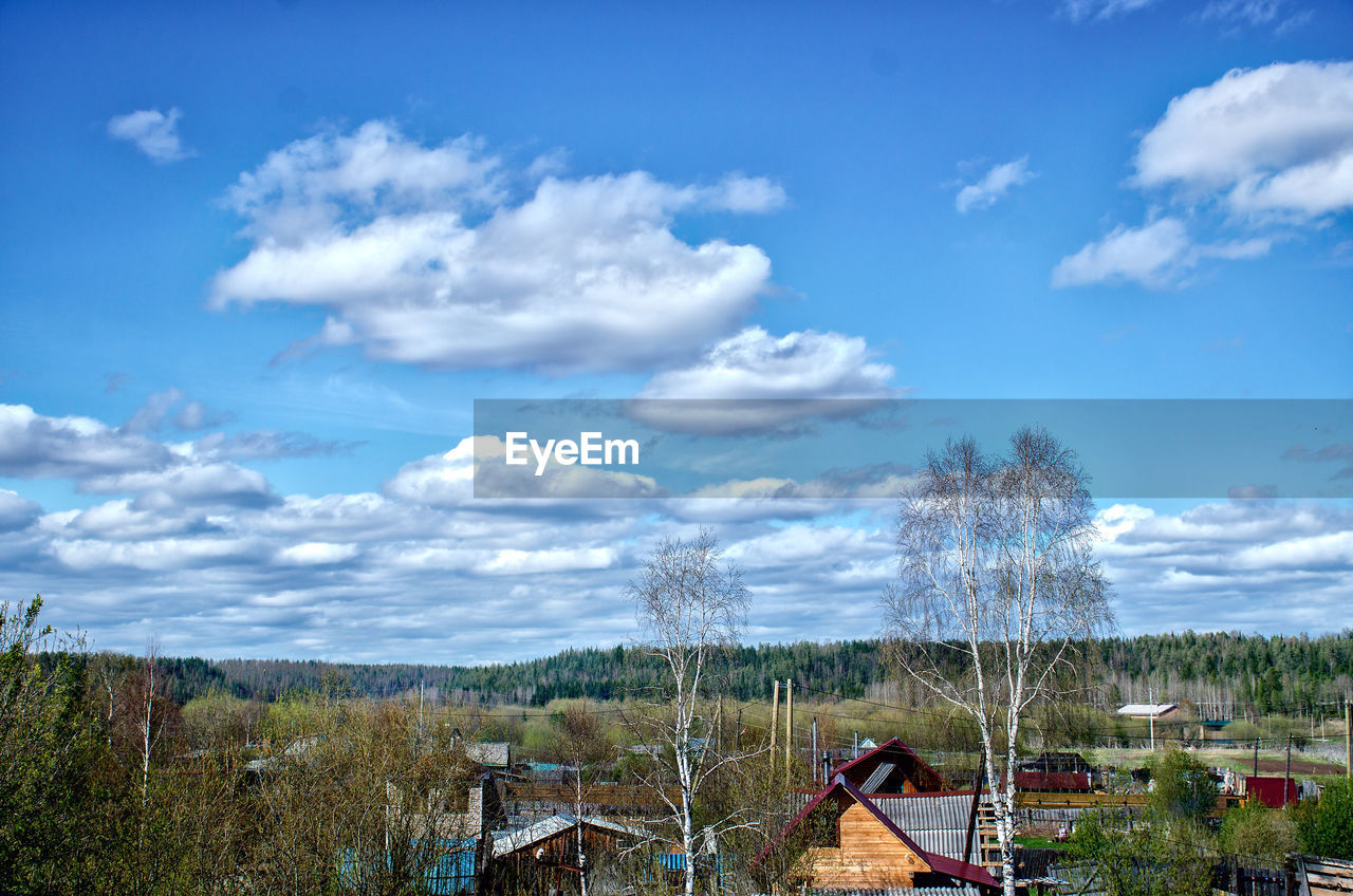 Scenic view of bare trees against sky