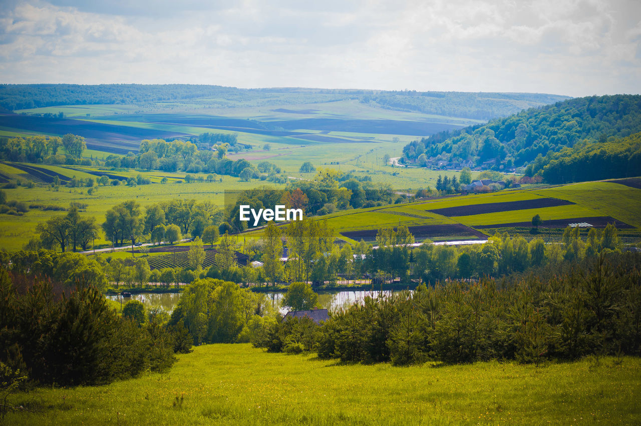 Scenic view of field against sky