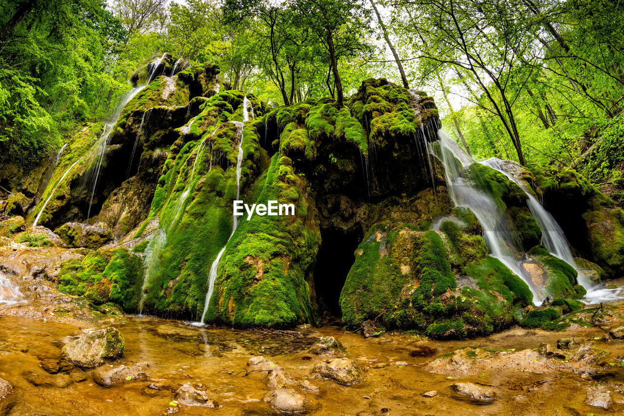 VIEW OF STREAM FLOWING THROUGH ROCKS IN FOREST