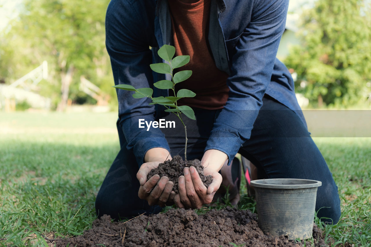 Close-up of man planting plant in park