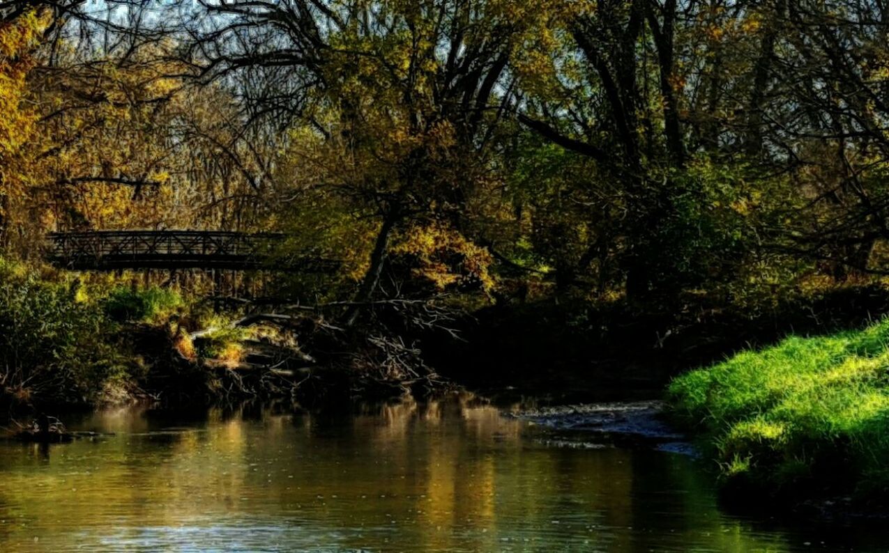 SCENIC VIEW OF RIVER WITH TREES IN BACKGROUND