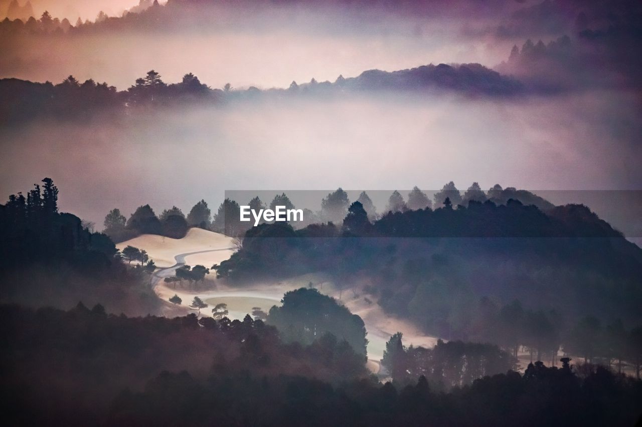 PANORAMIC VIEW OF TREES AND MOUNTAINS AGAINST SKY DURING SUNSET