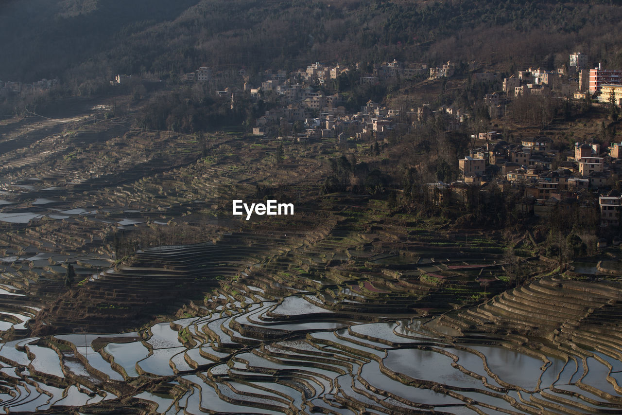 High angle view of agricultural landscape