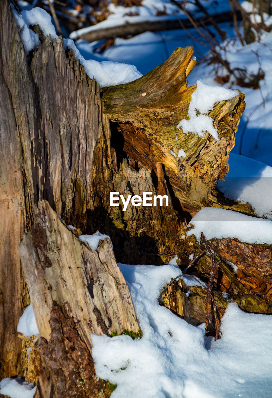 SCENIC VIEW OF SNOW COVERED LAND