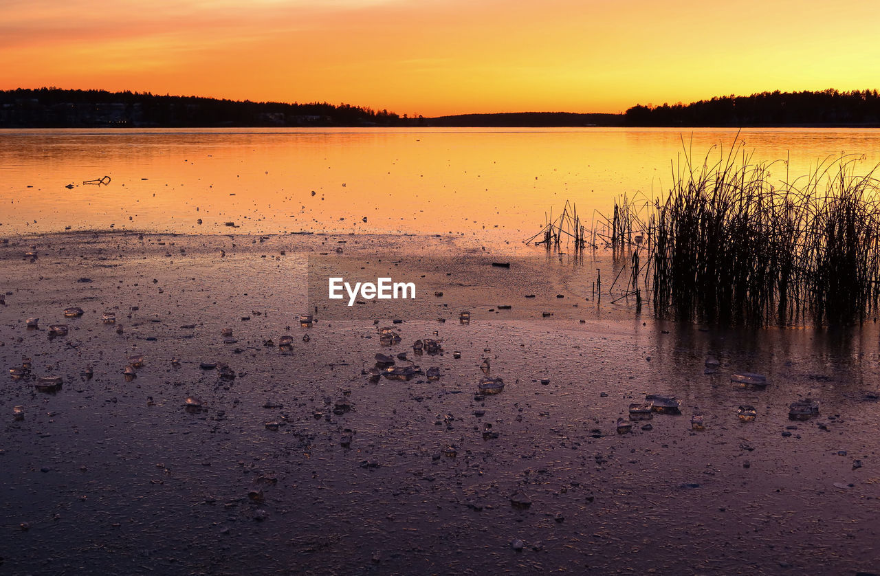 Scenic view of beach against sky during sunset
