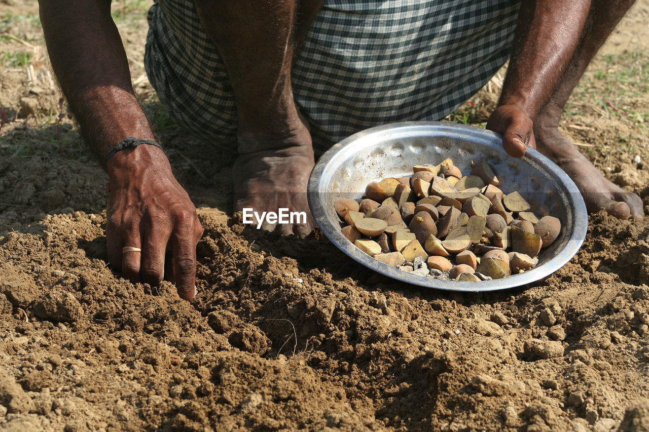 High angle view of man holding food