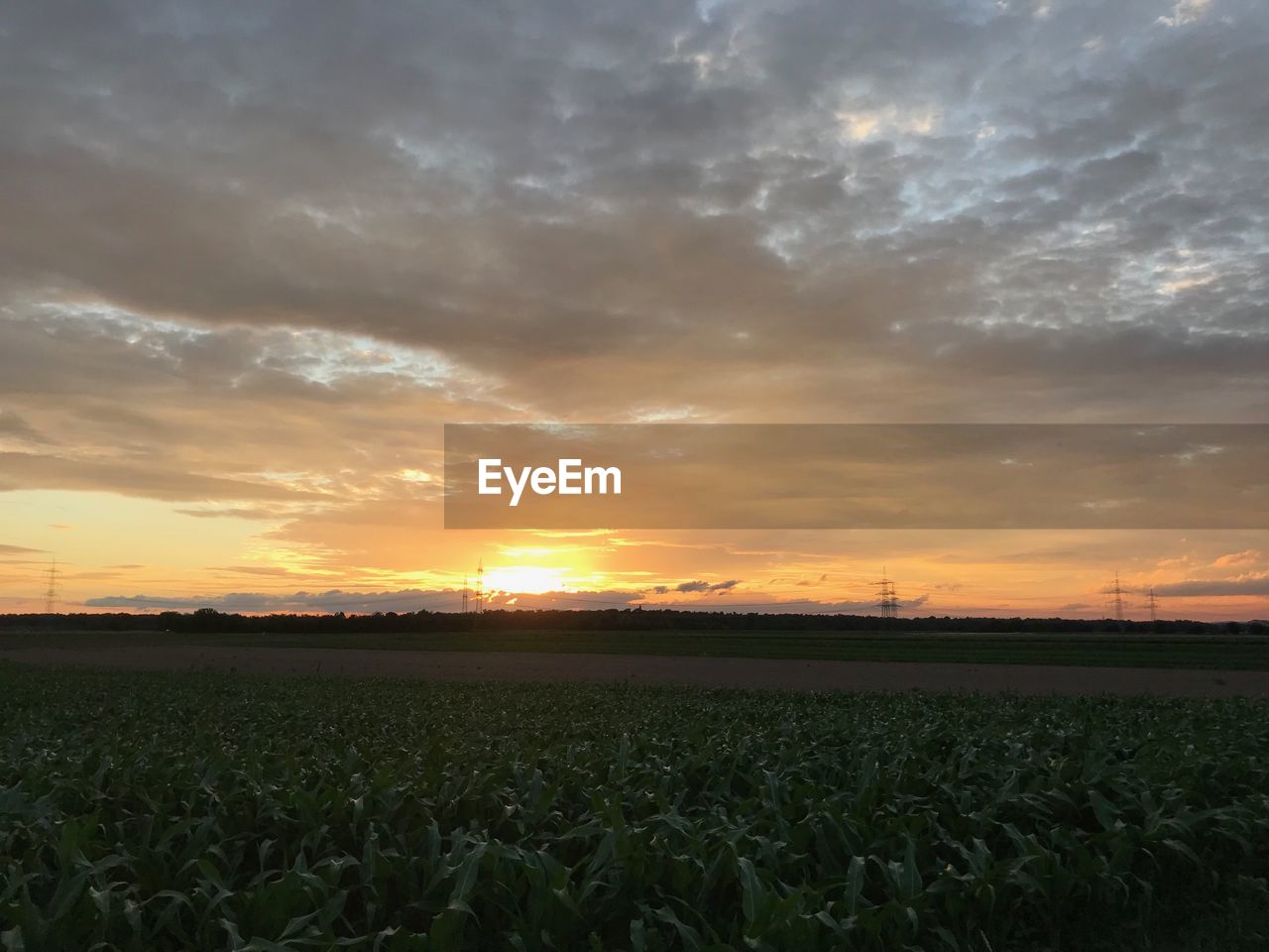 FIELD AGAINST SKY DURING SUNSET