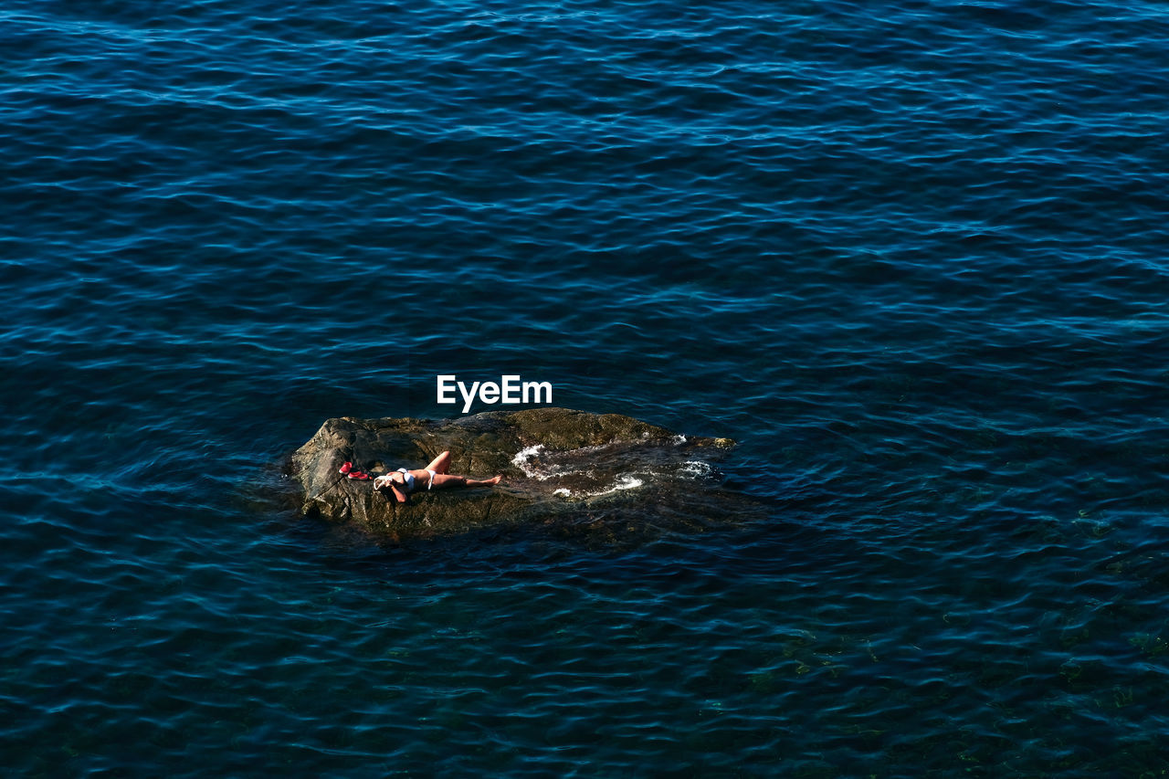 HIGH ANGLE VIEW OF A TURTLE IN SEA