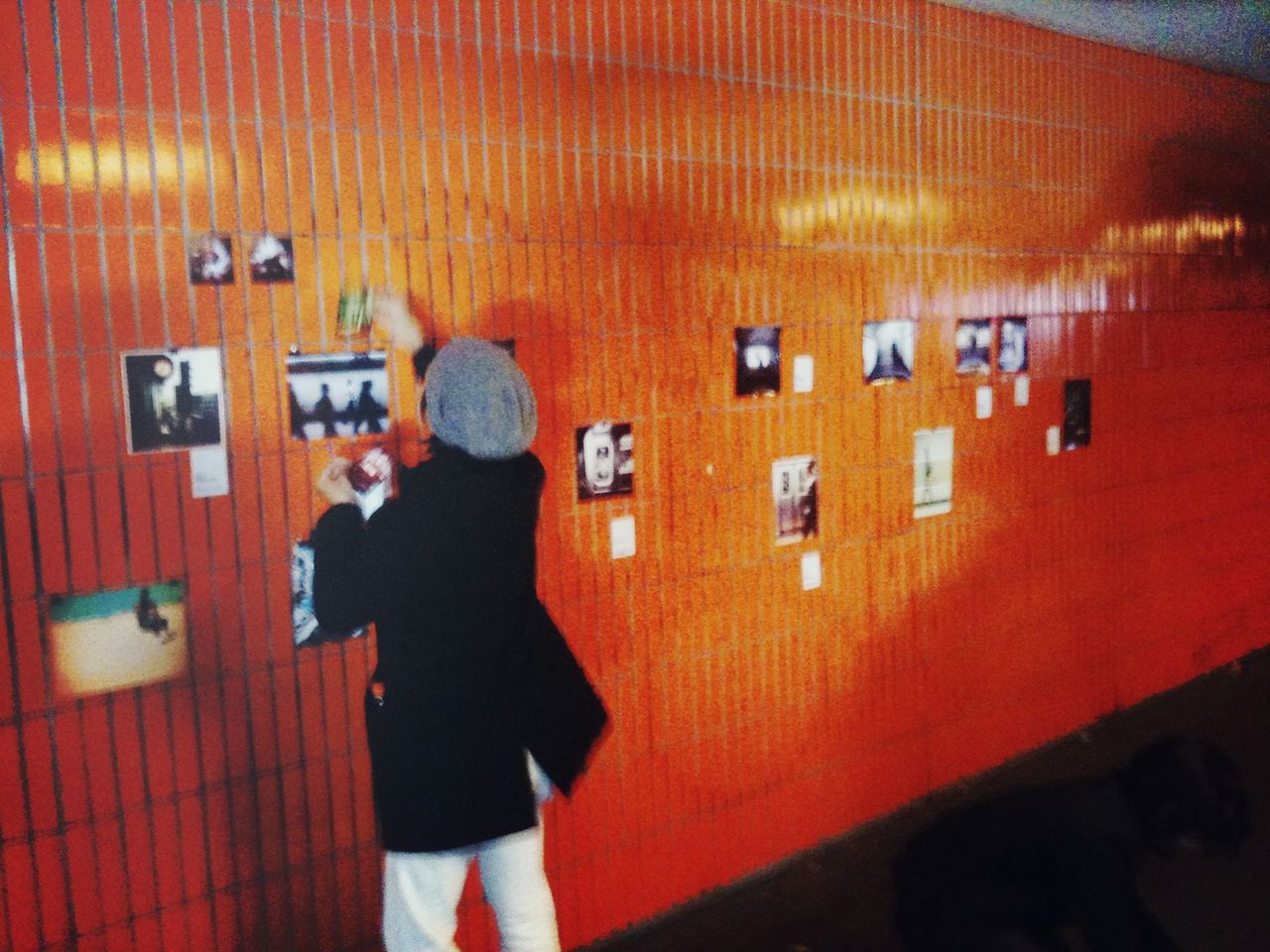 Rear view of a man looking at photographs on wall